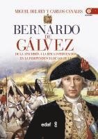 bokomslag Bernardo de Galvez