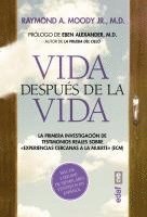 bokomslag Vida Despues de la Vida -V3*