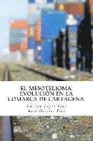 bokomslag El Mesotelioma: Evolución en la comarca de Cartagena