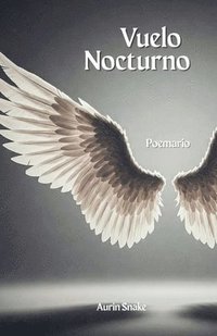 bokomslag Vuelo Nocturno