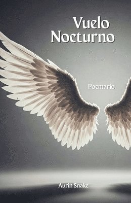 bokomslag Vuelo Nocturno: Poemario
