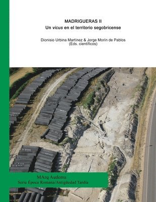 bokomslag Madrigueras II: Un vicus en el territorio segobricense