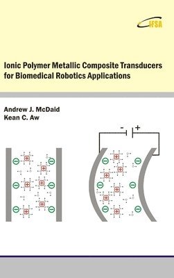 Ionic Polymer Metallic Composite Transducers for Biomedical Robotics Applications 1