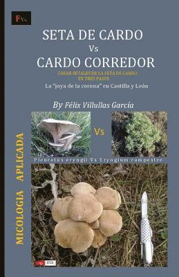 bokomslag Seta de cardo Vs Cardo corredor: Crear 'setales' de la seta de cardo en su habitat natural. La 'joya de la corona' en Castilla y Leon