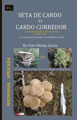 Felix Villullas Garcia - Seta de cardo Vs Cardo corredor: Crear "setales" de la seta de cardo en su habitat natural. La "joya de la corona" en Castilla y Leon, Häftad