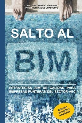 Salto al BIM 1