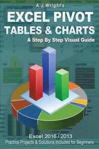 bokomslag Excel Pivot Tables & Charts