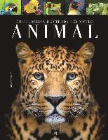 bokomslag Enciclopedia Ilustrada del Mundo Animal