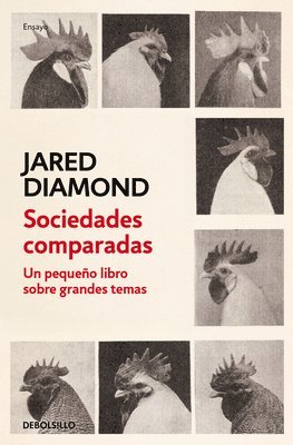 bokomslag Sociedades Comparadas. Un Pequeño Libro Sobre Grandes Temas / Comparing Human Societies