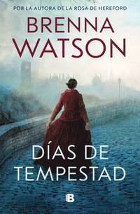 bokomslag Días de Tempestad / Days of Tempest