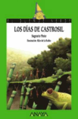 Sagrario Pinto - Los dias de castrosil, Häftad
