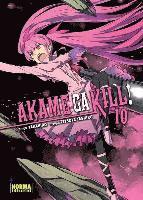 Akame ga kill! 10 1