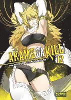 Akame ga kill! 12 1