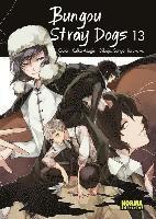 bokomslag Bungou Stray Dogs 13