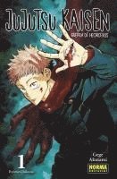 bokomslag Jujutsu Kaisen 01