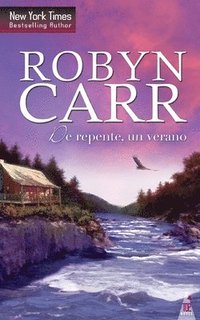 bokomslag Un verano de repente