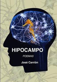 bokomslag Hipocampo
