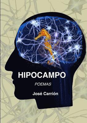Hipocampo 1