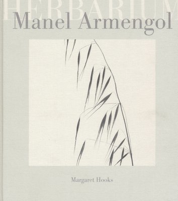 bokomslag Manel Armengol