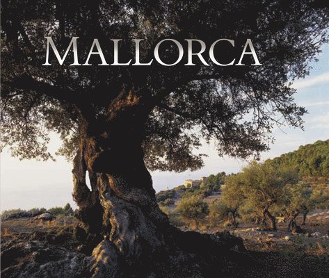 Neil Austen, Josep Liz Rodríguez - Mallorca: Neil Austen, Inbunden