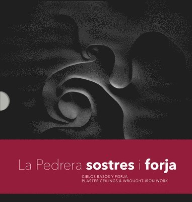 Pere Vivas Ortiz, Galdric Santana Roma - La Pedrera Sostres I Ferros: Plaster Ceilings & Wrought-Iron Work, Häftad