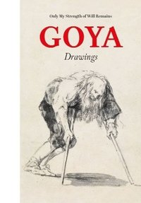 bokomslag Goya Drawings