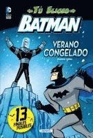 bokomslag Verano Congelado
