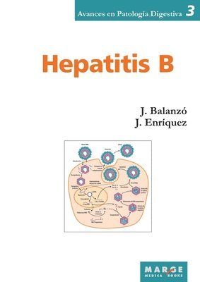 bokomslag Hepatitis B