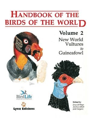 bokomslag Handbook of the Birds of the World. Vol.2