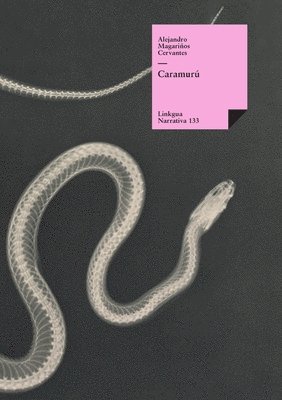 Alejandro Magariños Cervantes - Caramurú, Häftad