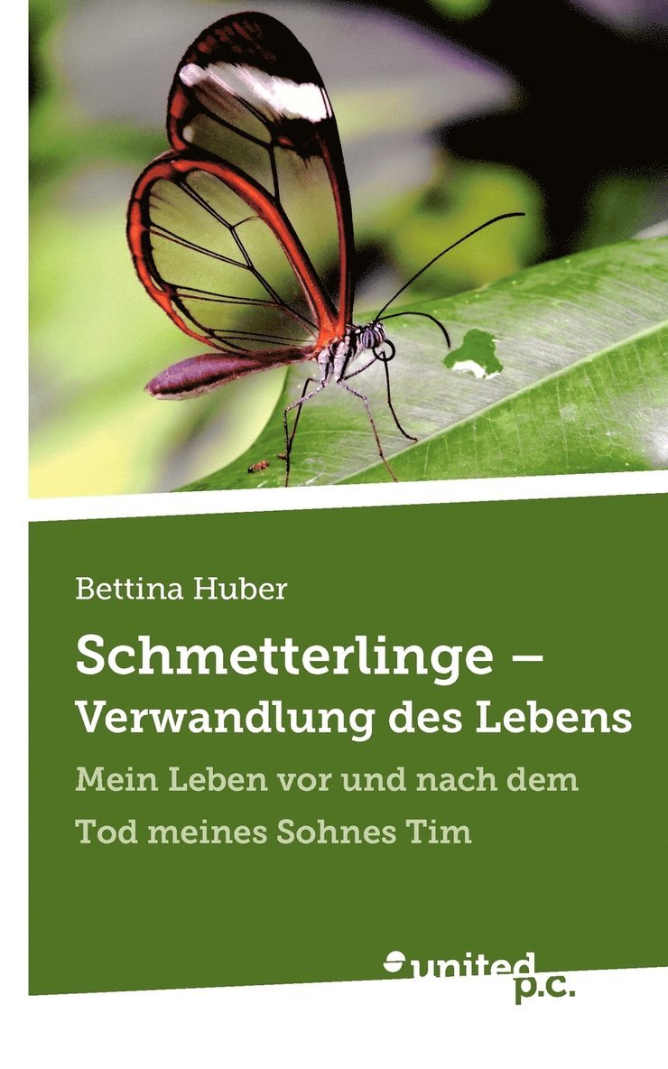 Schmetterlinge - Verwandlung des Lebens 1