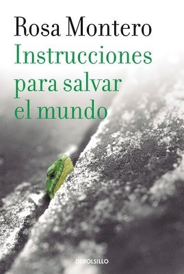 bokomslag Instrucciones Para Salvar El Mundo / Instructions to Save the World
