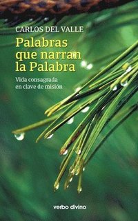 bokomslag Palabras que narran la Palabra