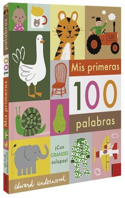 Mis Primeras 100 Palabras 1