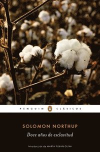 bokomslag Doce Años de Esclavitud / Twelve Years a Slave