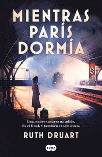 bokomslag Mientras París Dormía / While Paris Slept