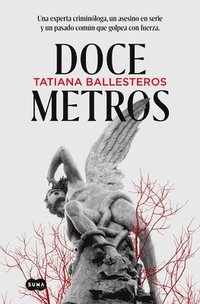 bokomslag Doce Metros / Twelve Meters