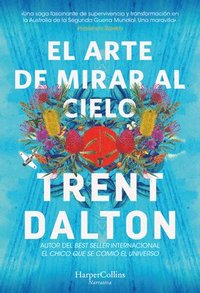 bokomslag El Arte de Mirar Al Cielo (All Our Shimmering Skies - Spanish Edition)