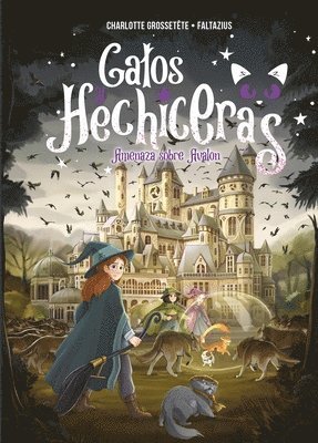 Gatos Y Hechiceras - Vol II 1