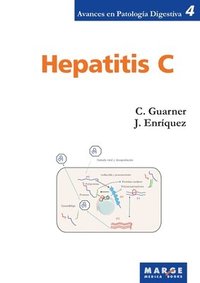 bokomslag Hepatitis C