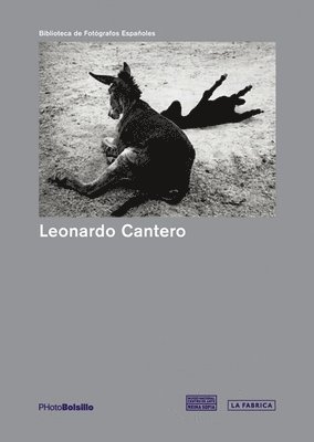 Leonard Cantero: PHotoBolsillo, Häftad