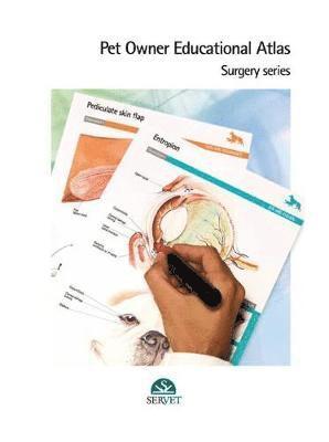 bokomslag Pet Owner Educational Atlas. Surgery