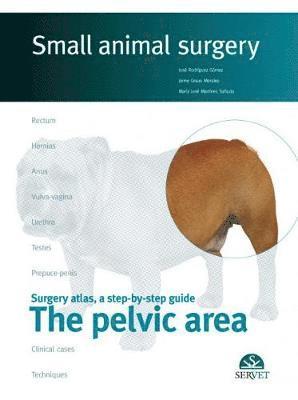 bokomslag The pelvicaArea. Small animal surgery