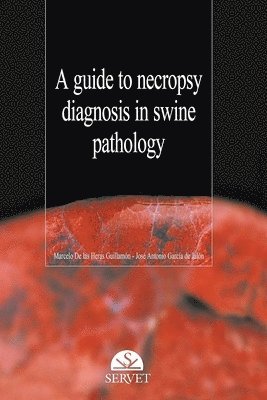 Guide to necropsy diagnosis in swine pathology