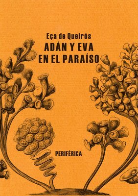 José Maria Eca de Queirós - Adán Y Eva En El Paraíso, Häftad