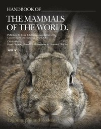 bokomslag Handbook of the Mammals of the World. Vol.6