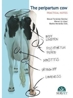 Peripartum Cow: practical Notes