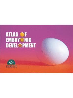 Ricardo Cepero Briz - Atlas of Embryonic Development, Häftad