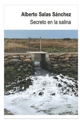 bokomslag Secreto en la salina