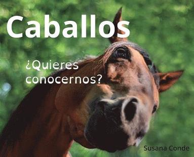 bokomslag Caballos